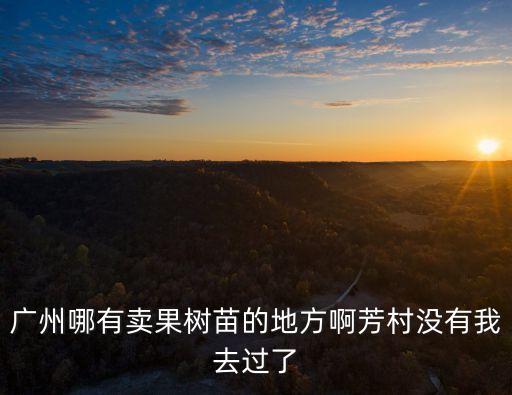 廣州哪有賣果樹苗的地方啊芳村沒有我去過了