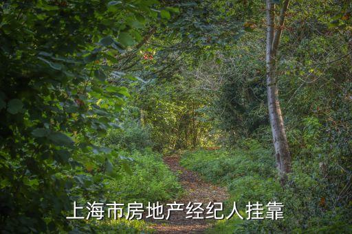 上海市執(zhí)行經(jīng)紀人協(xié)會，上海市房地產(chǎn)經(jīng)紀人掛靠