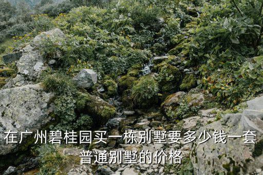 廣州碧桂園中新首府房?jī)r(jià)，廣州華南碧桂園房?jī)r(jià)