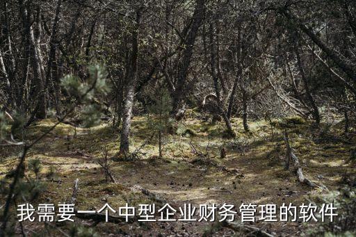 我需要一個中型企業財務管理的軟件