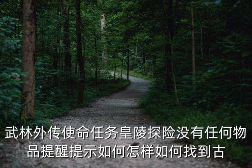 武林外傳使命任務皇陵探險沒有任何物品提醒提示如何怎樣如何找到古