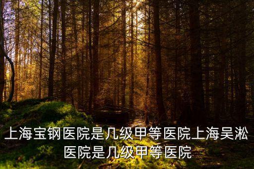 上海寶鋼醫院是幾級甲等醫院上海吳淞醫院是幾級甲等醫院