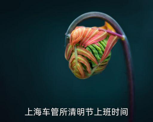 上海市交管中心時間，上海車管所周末上班嗎我想去轉駕駛證麻煩知道的告訴我一下