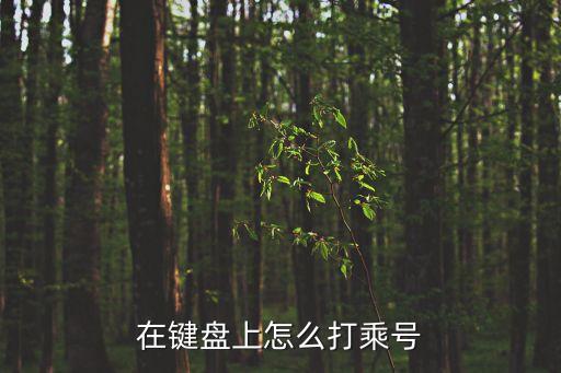 鍵盤乘號怎么打，在鍵盤上怎么打乘號