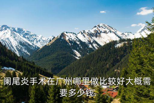 闌尾炎手術在廣州哪里做比較好大概需要多少錢
