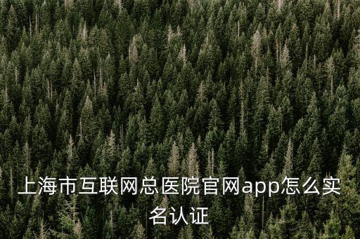 上海市一醫院北部app，上海第一人民醫院