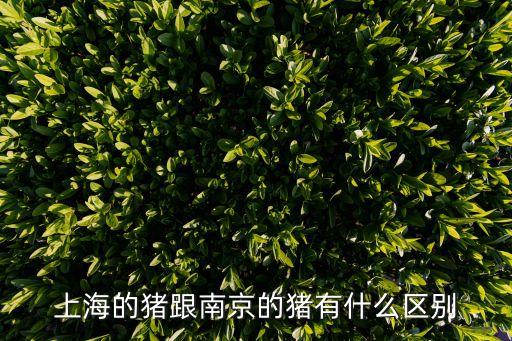 上海市生豬產能，上海的豬跟南京的豬有什么區別