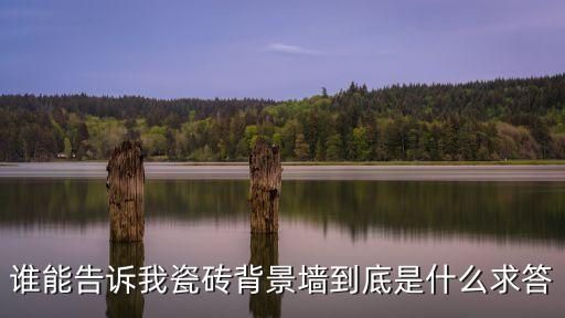 誰能告訴我瓷磚背景墻到底是什么求答