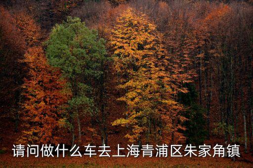 請問做什么車去上海青浦區朱家角鎮