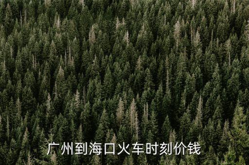 廣州到海南的車票是什么樣的，廣州到海口火車時刻價錢