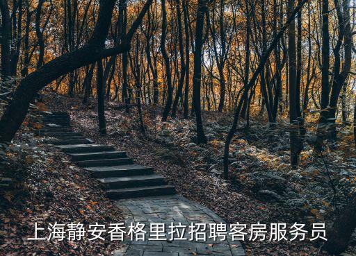 上海市有招客房臨時工的嗎，上海楊思路8號線附近酒店那里有招聘或兼職包房服務員的啊