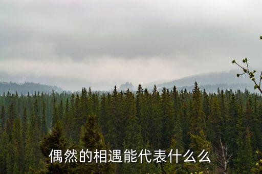偶然相遇，偶然相遇是什么意思