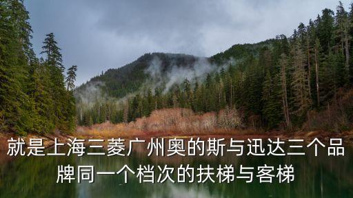 就是上海三菱廣州奧的斯與迅達(dá)三個品牌同一個檔次的扶梯與客梯