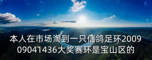 上海市信鴿協會王繼莊，帶走一盞漁火讓它溫暖我的雙眼