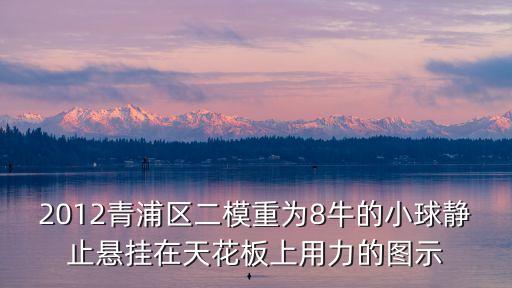 2012青浦區二模重為8牛的小球靜止懸掛在天花板上用力的圖示