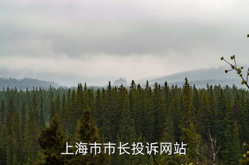 上海市委書記參加二屆商會，小學(xué)語文的一篇課文內(nèi)容大概陳毅當(dāng)上海市長時做的一件事