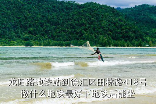 龍陽路地鐵站到徐匯區田林路418號做什么地鐵最好下地鐵后能坐