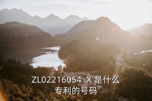 ZL02216054  X 是什么專利的號碼