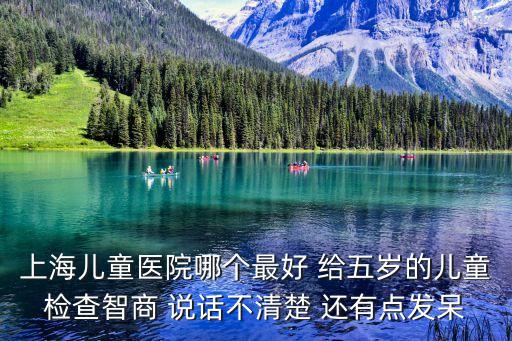 上海兒童醫(yī)院哪個(gè)最好 給五歲的兒童檢查智商 說話不清楚 還有點(diǎn)發(fā)呆