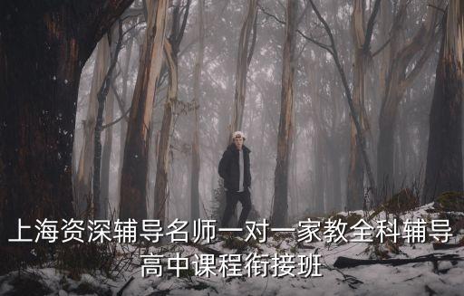 上海資深輔導名師一對一家教全科輔導高中課程銜接班