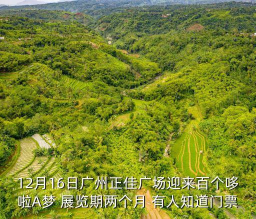 12月16日廣州正佳廣場迎來百個哆啦A夢 展覽期兩個月 有人知道門票