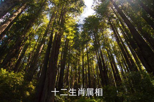 十二生肖介紹，十二生肖屬相