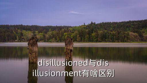 disillusioned與disillusionment有啥區別
