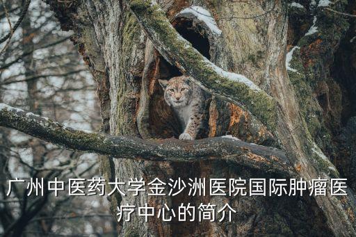 廣州中醫藥大學金沙洲化療中心，廣州中醫藥大學金沙洲醫院的介紹