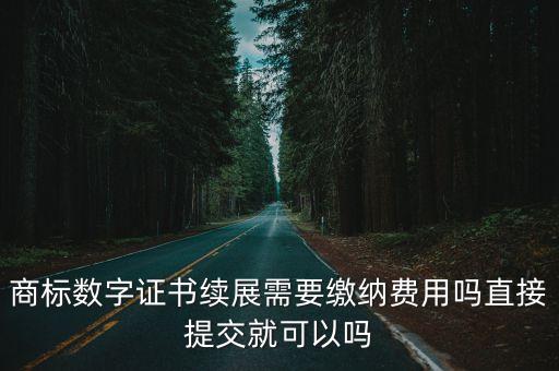 上海市數(shù)字證書到期要多少費用，電子口岸IC卡數(shù)字證書需付哪些費用