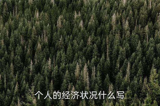 經濟狀況，個人的經濟狀況什么寫