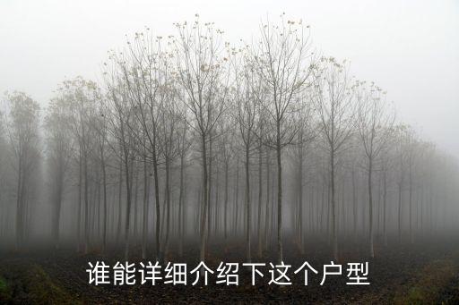 誰能詳細介紹下這個戶型
