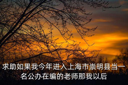 求助如果我今年進入上海市崇明縣當一名公辦在編的老師那我以后