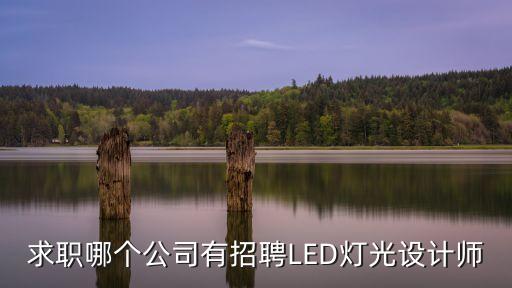 廣州協(xié)源電子科技有限，求職哪個(gè)公司有招聘LED燈光設(shè)計(jì)師