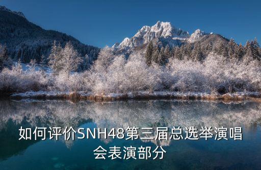 如何評(píng)價(jià)SNH48第三屆總選舉演唱會(huì)表演部分