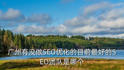 廣州市seo推廣哪家專業，廣州哪家的網站優化服務比較好