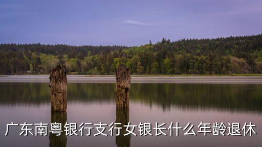 南粵銀行廣州分行廖行長，廣東省南粵銀行屬于哪里