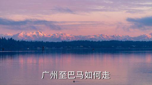 廣州到巴馬市多少公里，廣州到巴馬要多少公里