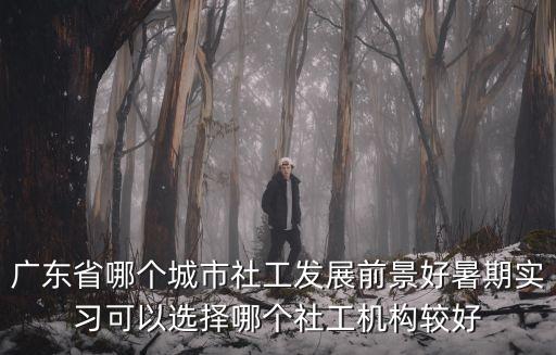 廣東省哪個城市社工發展前景好暑期實習可以選擇哪個社工機構較好