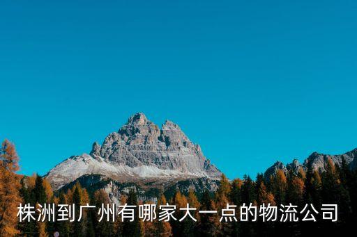 株洲到廣州有哪家大一點(diǎn)的物流公司