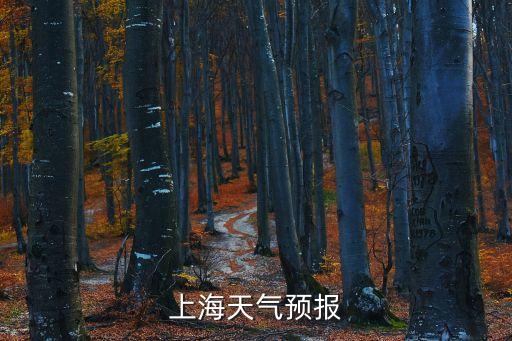 上海市高溫預(yù)報(bào)，請問上海這幾天會(huì)是高溫嗎