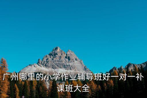 廣州哪里的小學作業輔導班好一對一補課班大全