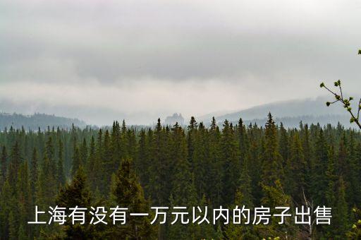 上海市區二手房才1萬多，上海還有低于1萬一平方的房價嗎有的話在什么位置謝謝