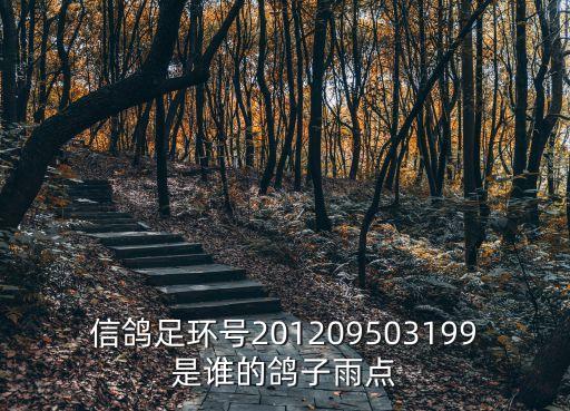 上海市信鴿協會徐建東，信鴿足環號201209503199是誰的鴿子雨點