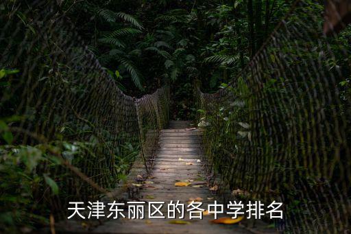 天津初中排名，天津東麗區的各中學排名