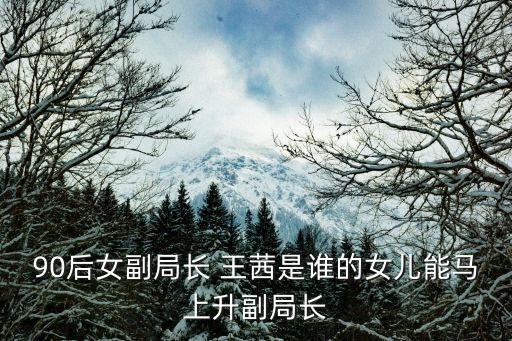 上海市民政局女副局長，上海民政局局長施小琳剛剛被免職她新職位是什么