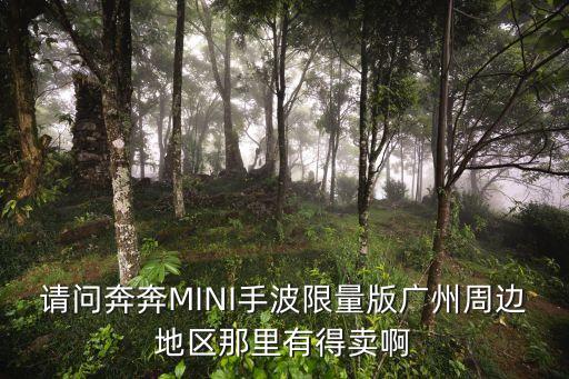 請問奔奔MINI手波限量版廣州周邊地區那里有得賣啊