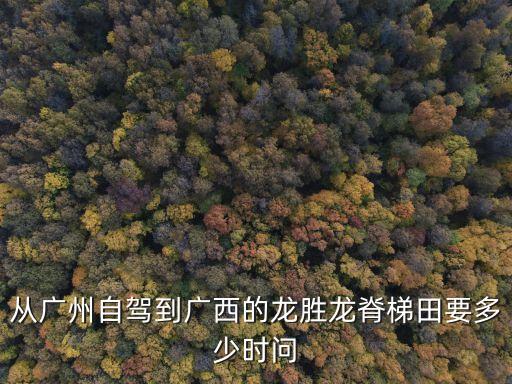 自駕車廣州到龍脊梯田幾小時，求廣州至廣西龍脊梯田的自由行線路