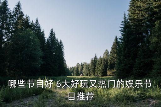 哪些節(jié)目好 6大好玩又熱門的娛樂節(jié)目推薦