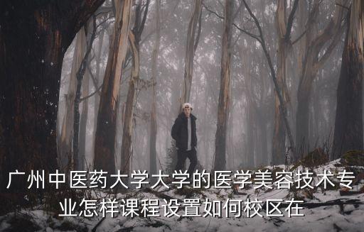 廣州中醫藥醫學美容學院，廣州中醫美容學校的學費貴嗎