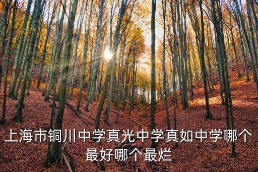 上海市銅川學(xué)校法人代表，上海市銅川學(xué)校的網(wǎng)站